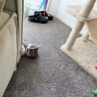 Photo of Thunda