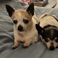 Photo of Chase And Isabella 