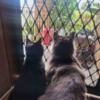 Photo of Ghetto & Gucci