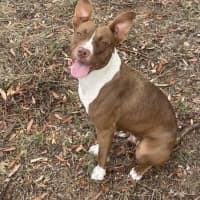 Photo of Coco C