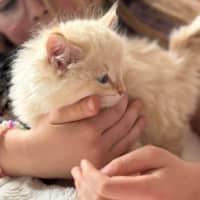 Photo of Oats Meet Me @Petstock Carrum Downs Store