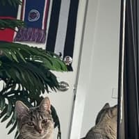 Photo of Nancy