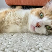 Photo of Trudi 