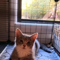 Photo of Pocket