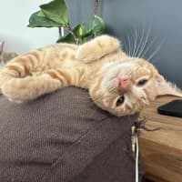 Photo of Rupert