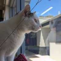 Photo of 🎪 George 6613 🎪