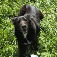 Photo of Matilda