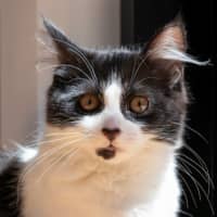 Photo of Gretel Moriarty