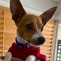 Photo of Pablo