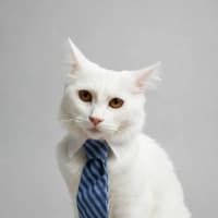 Photo of Yuki