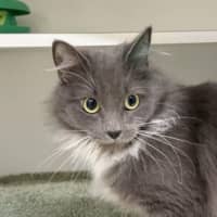 Photo of Stormy