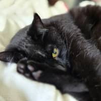 Photo of Mitzy Quinnell