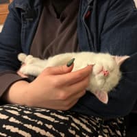 Photo of Evacuation Plan