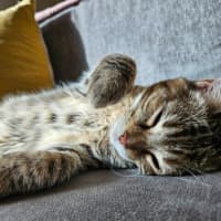 Photo of Shirley