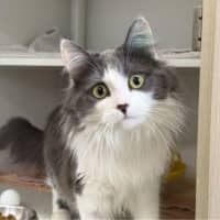 Photo of Elsie