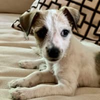 Photo of Marley Muddle