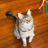 Photo of Madam Plum 