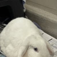 Photo of Pretty Girl