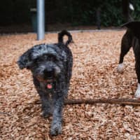 Photo of Oscar And Annika Newhaven