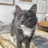 Photo of Arlo