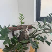 Photo of Betty Lou Who