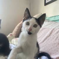 Photo of Zeb Sanderson