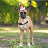 Photo of Wilma