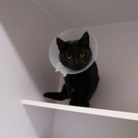 Photo of Samantha