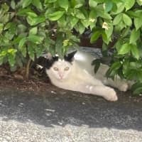 Photo of Hugh And Imogen 