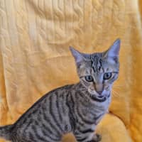 Photo of Narla