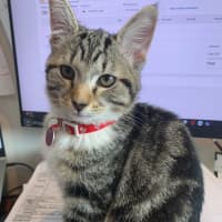 Photo of Bobbie