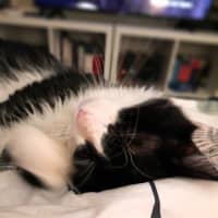 Photo of Dudley Kumara