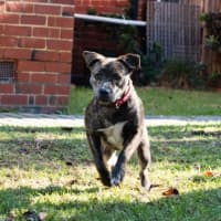 Photo of Benny Lozano