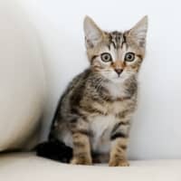 Photo of Sunny