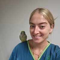 Photo of Quaker Bird