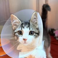 Photo of Happy