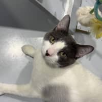 Photo of Pablo 🌟🌴