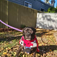 Photo of Frodo