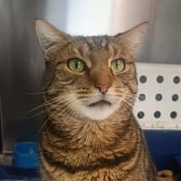 Photo of Tom