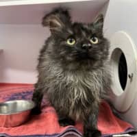 Photo of Munchkin