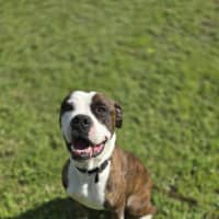 Photo of Tank
