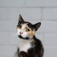 Photo of Sparkle