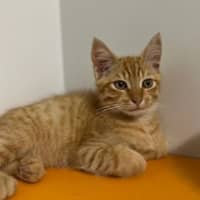 Photo of Helios
