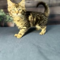 Photo of Sky   Located In Wallan