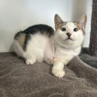 Photo of Little Bean
