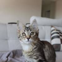 Photo of Rizzo