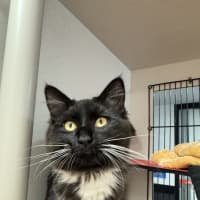 Photo of Thor