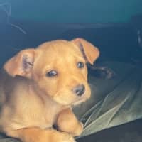 Photo of Milly