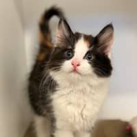 Photo of Meg
