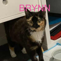 Photo of Brynn